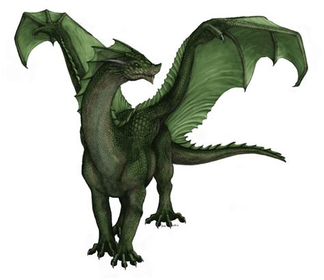 green dragon dungeons and dragons - Clip Art Library