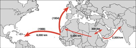 Some examples of long distance Desert Locust migration. | Download ...