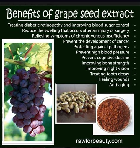 Pin by Amber on Book of shadows | Grapes benefits, Grape seed extract, Grapeseed