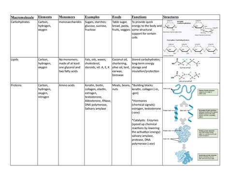 Macromolecules Table - Macromolecule Elements Monomers Examples Foods ...