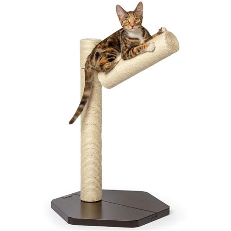 Best Cat Scratching Posts and Pads - Top 13 Reviews and Ratings in 2021