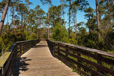 Bike trail and walking trail over the boardwalk bicycle trails within ...