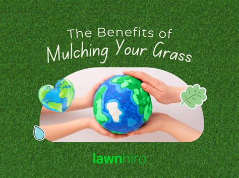 The Benefits of Mulching Your Grass - Lawnhiro Blog