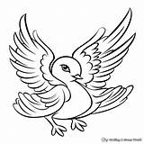 Peace Dove Coloring Pages  Free & Printable sketch template