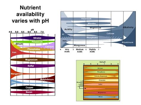 Soil acidity