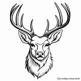 Deer Head Coloring Pages  Free & Printable sketch template
