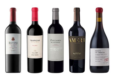 Argentina's Red Wines - Decanter