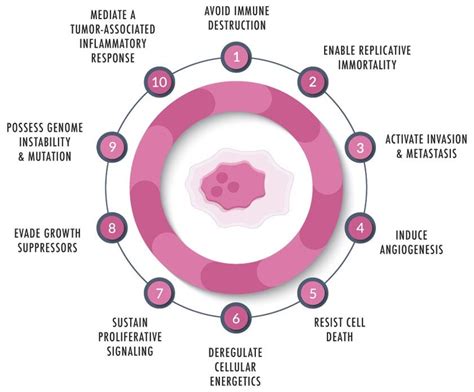 Metabolic Targets in Cancer Therapy | by Liubou Samson | The Pulse | Medium