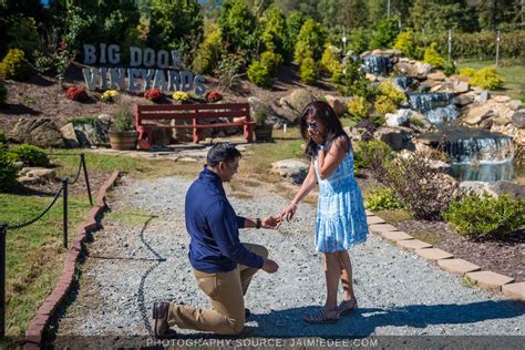 Big Door Vineyards Proposal Photos | Atlanta Photo Shoot