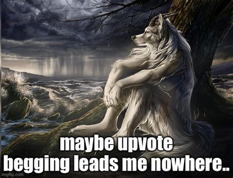 melancholic werewolf Memes - Imgflip