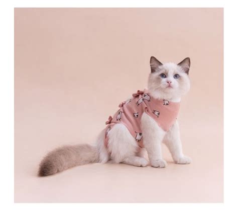 Straps Cat Surgical T Shirt Pet Post Surgical Clothing Onesie