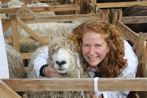 UK Day 3: Masham Sheep Festival - Orchard View Lincoln Longwools