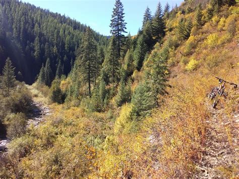 Trout Creek National Recreation Trail Mountain Bike Trail - Trout Creek, MT