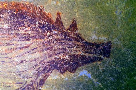 Archaeologists Have Discovered a Pristine 45,000-Year-Old Cave Painting of a Pig That May Be the ...