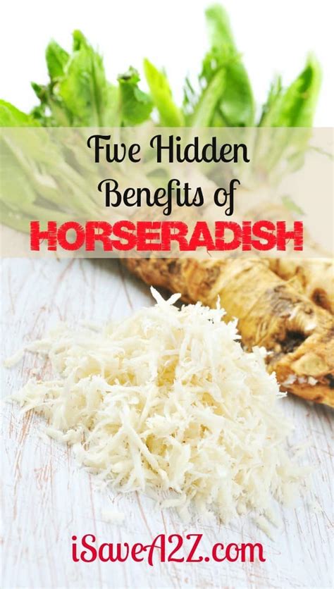 Five Hidden Benefits of Horseradish - iSaveA2Z.com