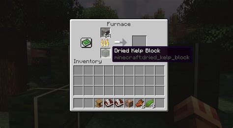 How to get dried sea kelp in minecraft | Sero