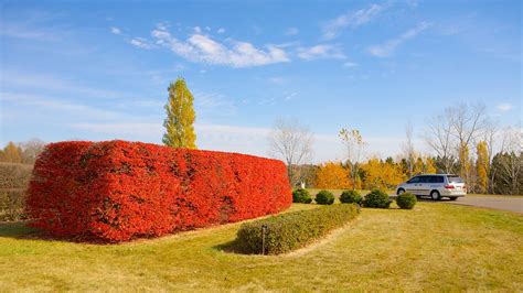 Minnesota Landscape Arboretum in Minneapolis, Minnesota | Expedia