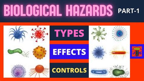 Workplace Biological Hazards |Types & Categories of Biohazards #biohazardcontrols # ...