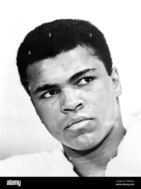 Muhammad Ali. Portrait of the heavyweight boxer Muhammad Ali ( b ...