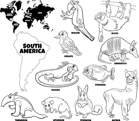 cartoon South American animals set coloring book page 3275605 Vector Art at Vecteezy