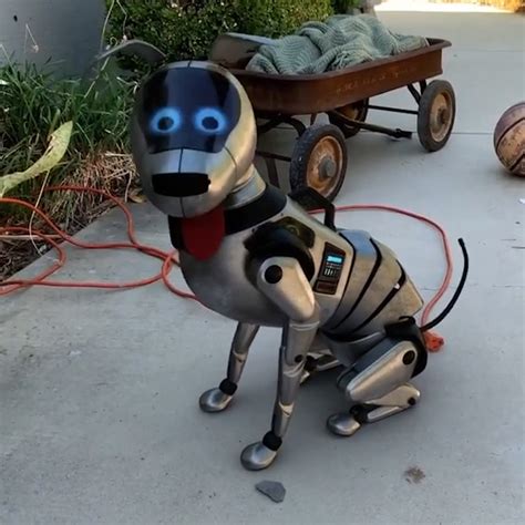 Mysterious robot dog “found” in Los Angeles by Instagram user