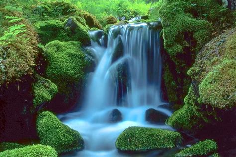 Waterfall in the forest Art Print by IB Photography - X-Small ...