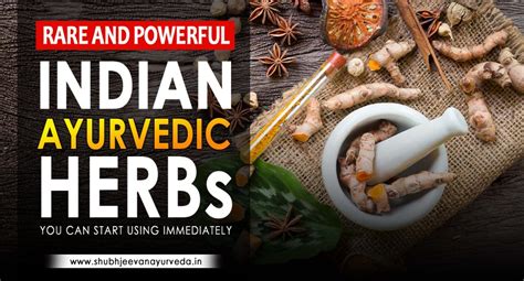 Rare and powerful Indian Herbs you are not aware of | Shubh Jeevan Ayurveda