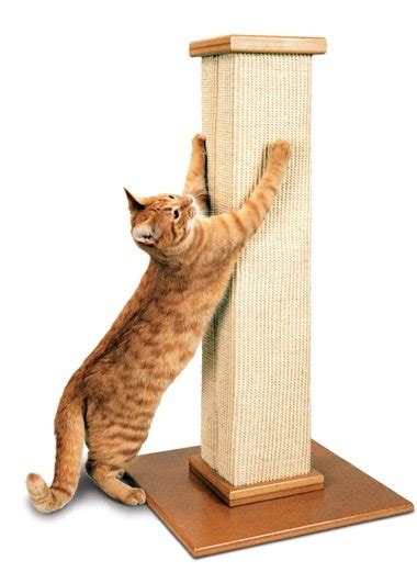 Amazon.com : SmartCat Ultimate Scratching Post : Cat Scratching Post : Pet Supplies