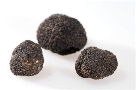 Premium Photo | Black truffles isolated on white.