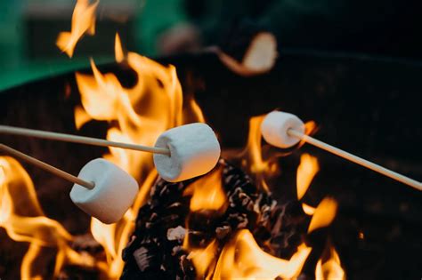 Best Campfire Games For Families and Fun Activities You'll Love!