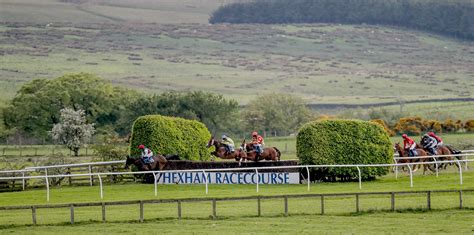 Owners & Trainers | Hexham Racecourse