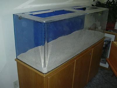 Aquarium Lore: Saltwater Aquarium Setup