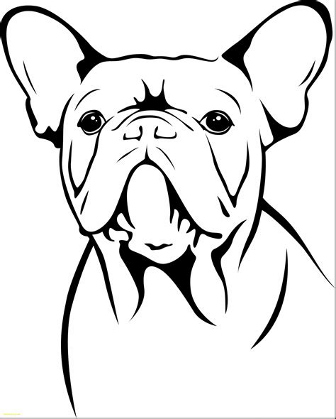 Bulldog Drawing Easy at PaintingValley.com | Explore collection of ...