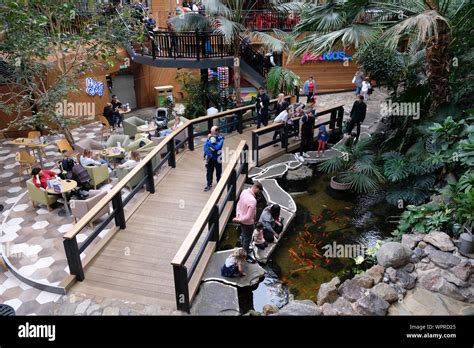 Center parcs hi-res stock photography and images - Alamy