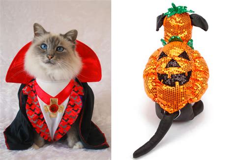 Animales Halloween, mejores disfraces - Parte 2 de 2