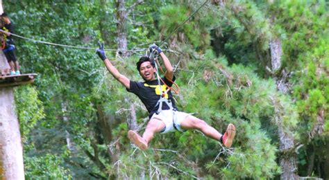 Bali Treetop Adventures Ceases Operations | Bali Discovery