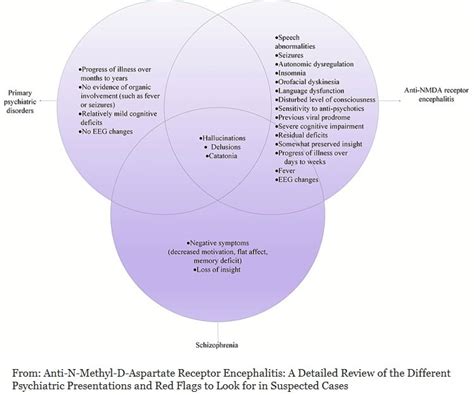 Anti-NMDAr Encephalitis | Brain Inflammation Symptoms & Treatments