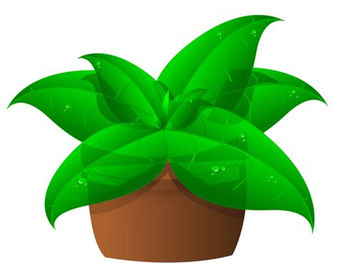 Free Plant Cliparts, Download Free Plant Cliparts png images, Free ClipArts on Clipart Library