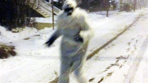 Yeti spotted roaming streets of Boston - CBS News