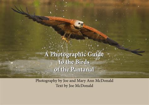 A Photographic Guide to the Birds of the Pantanal