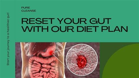 Gut Cleansing Diet Plan — Shonali Sabherwal - Prisha Singhal - Medium