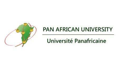 Pan African University Scholarship at Partner Institutes, 2020