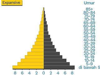 Komposisi penduduk Indonesia berdasarkan usia dan jenis kelamin dalam piramida penduduk