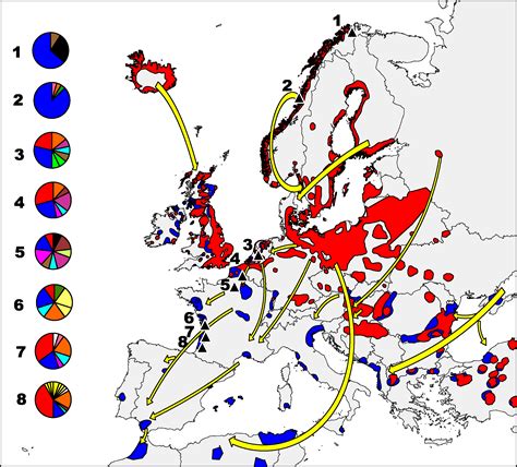 Geese Migration Patterns