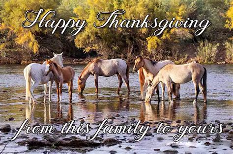 50+ Happy Thanksgiving Horse Images Free Download 2023 - QuotesProject.Com