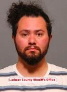 Larimer, Weld law enforcement agencies arrest 9 during child prostitution operations – Greeley ...