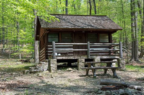 Site Cabin 30, Camp Misty Mount - Recreation.gov