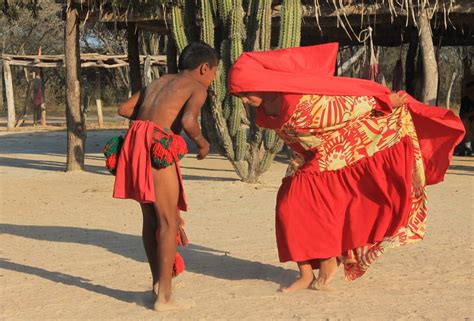 Yonna o “chichamaya”, un baile guajiro • Periódico El Campesino – La voz del campo colombiano