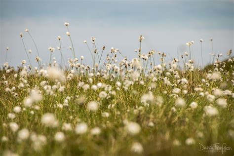 Portfolio | Nature Photography