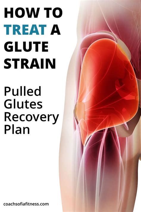 Pulled Glute Muscle Rehab Plan (Home Recovery) – An Tâm